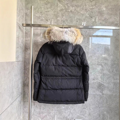 Winter Parka CG